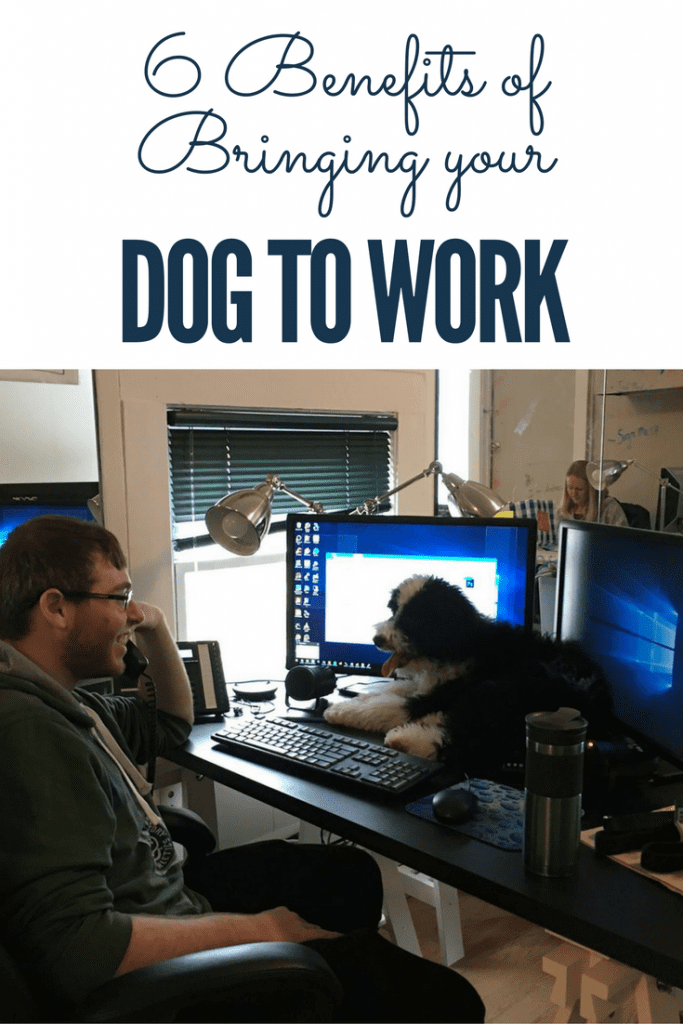 Benefits of Bringing Your Dog to Work Infinite Media Corp.
