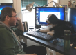 employee with dog on desk