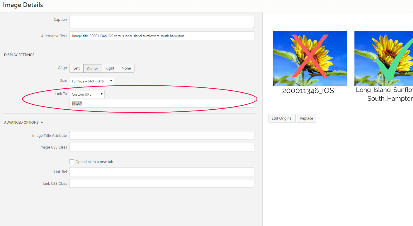 example of linking images to custom url in wordpress