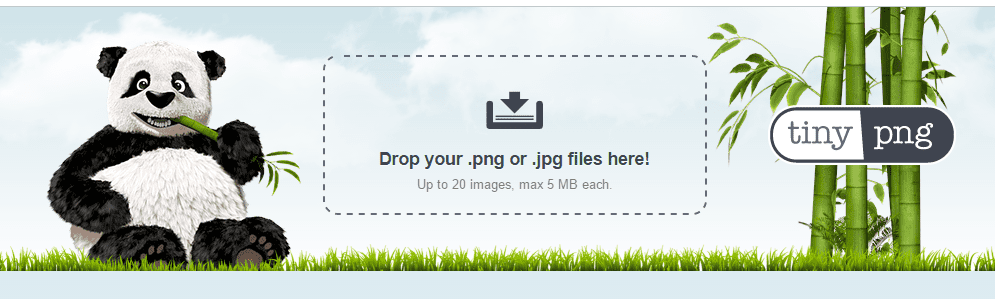 example of online image compressing tool tiny png